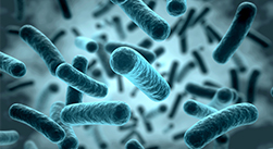 福山市神辺町川南・うまこし歯科医院・お口の中の細菌を顕微鏡で確認